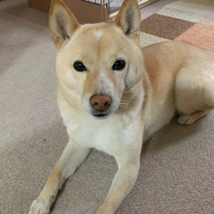 911529c6 16a5 440d 853d ea0a336d2cf1 1641857369377