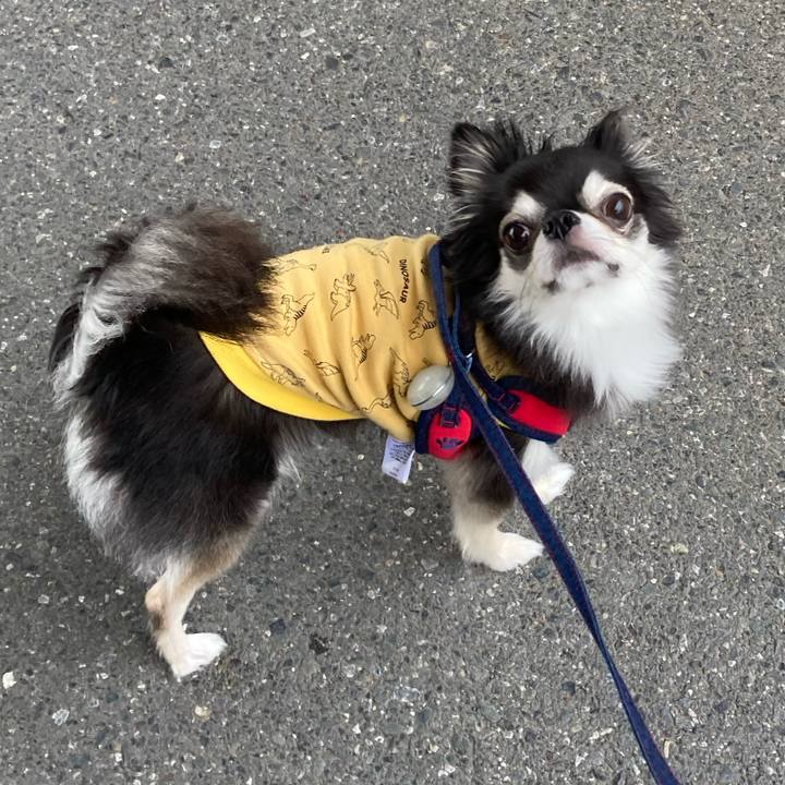 911536ea 51b2 49be aedf 6bac1fcbd702 1699679799639