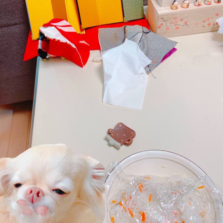 91153960 fa89 4983 b4d2 443c9ffeb64a 1646371971738