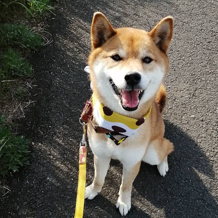 9115bbb3 e843 4523 a525 98733b03906d 1589443359919