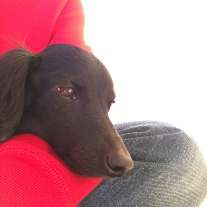 9115df1f c049 4888 bb72 a7ec0164eec5 1509836387722