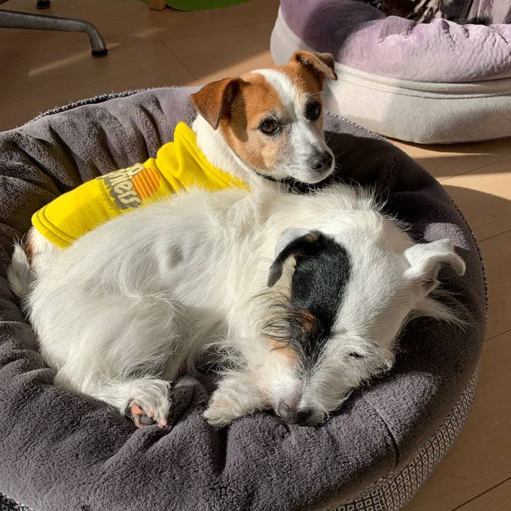 91162723 cbed 452d 85bc ddf4b3fbd4e7 1636950829728