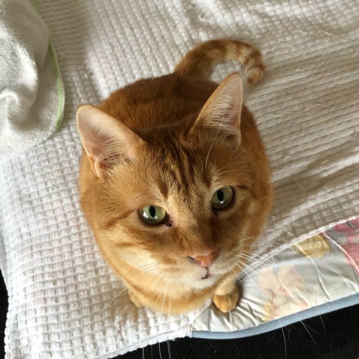 91164ad0 4b3f 4194 bc89 f4d921536778 1586470511851