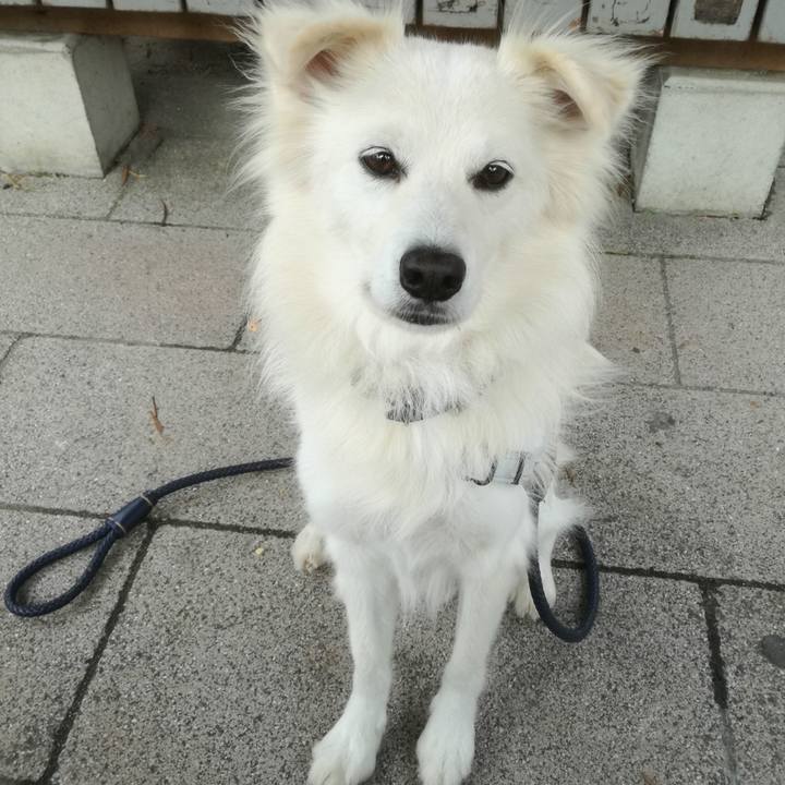 91165cc4 5125 49c3 b7c0 6f1041e2dcee 1508810599749