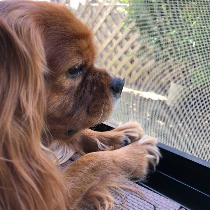 9116799e 32c0 4a37 87b2 1ae709c57dba 1622413797447