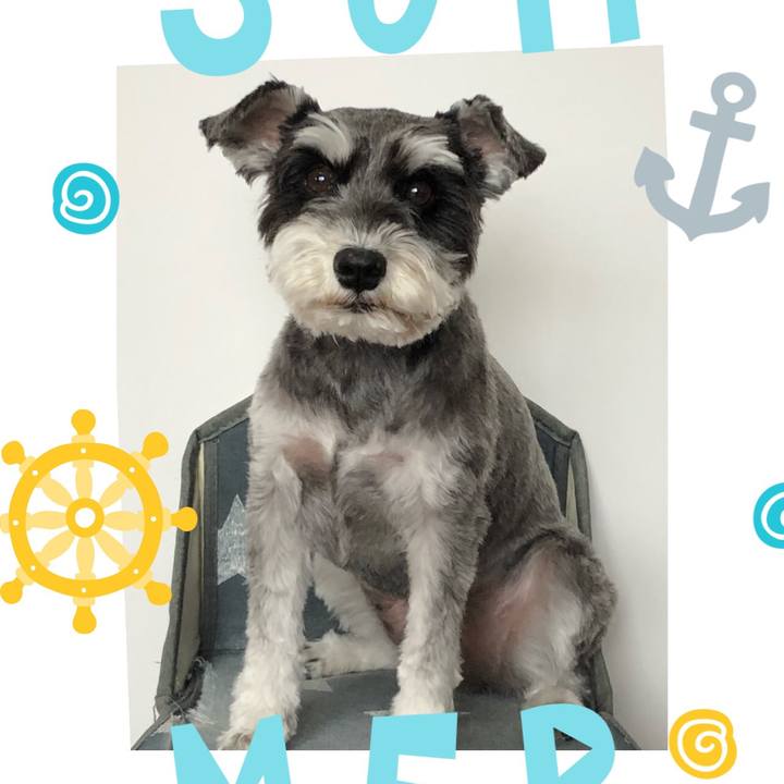 91168d14 a428 4c76 be58 2ddcbd801867 1656813116337