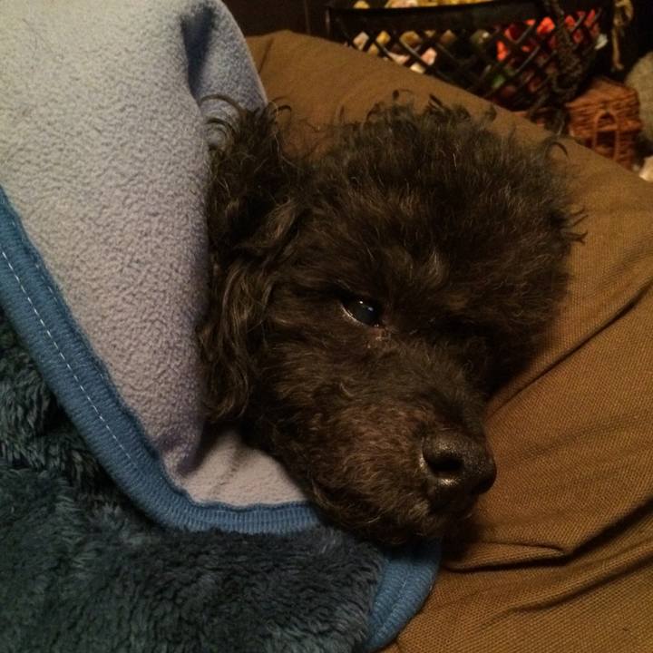 9116ef58 42f9 4cc4 bfd8 734b5f9da9c2 1546263311610