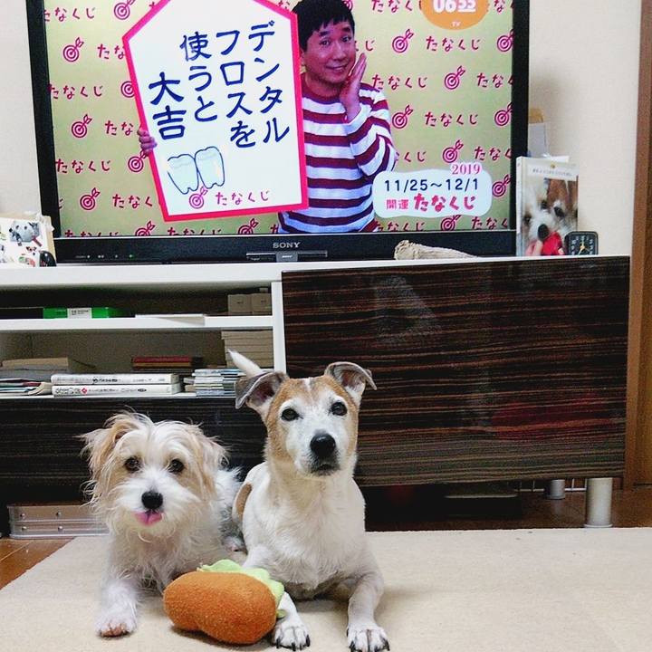 911708fe 5745 425c b70d d85f6f099bb5 1574634125804