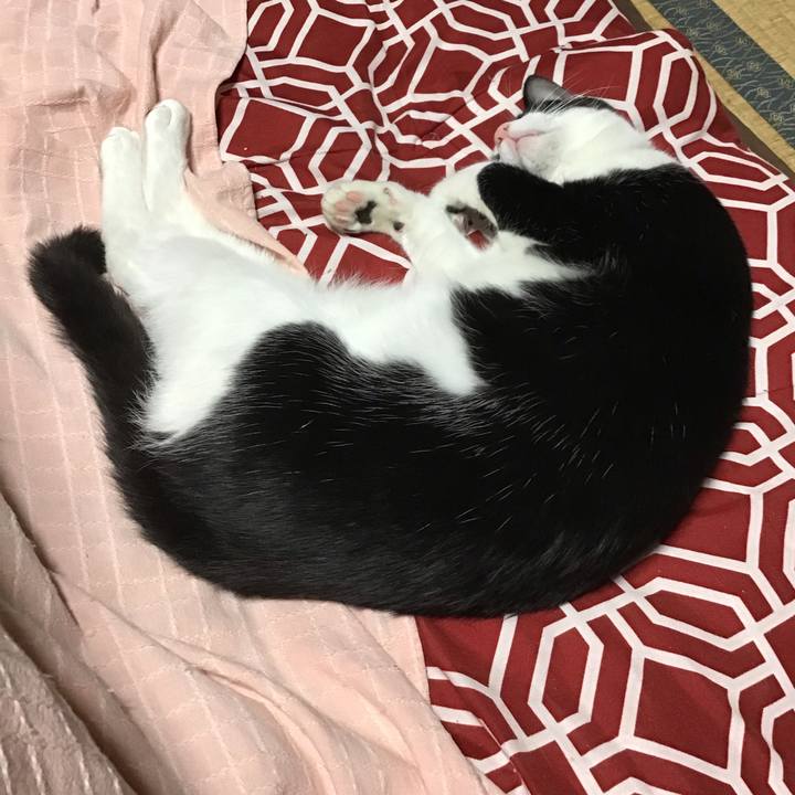 91177863 288d 4e14 aeff 32900d1ce057 1636279284428