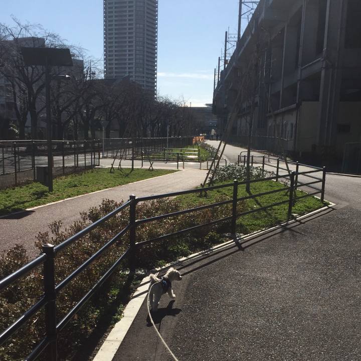 911780de 5f2f 4bec ab1e dc5cebee9d97 1519977123579