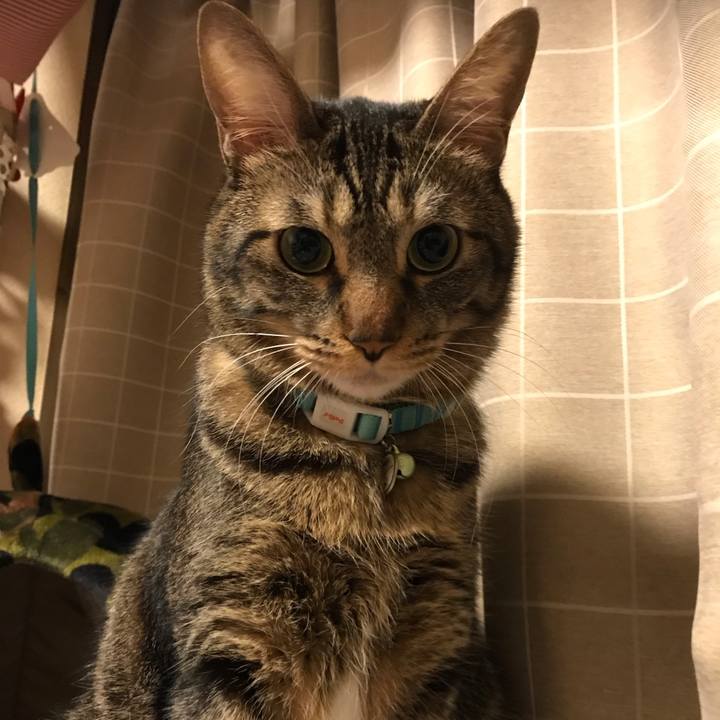 91179b79 c3d5 469d 8c34 ea0fc63873f2 1540817529144