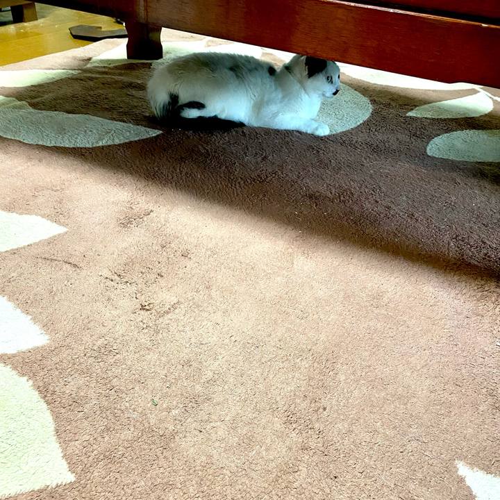 91179d84 e552 4ed7 b7e8 35bd503c5fa0 1622588186116