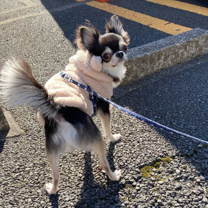 91181b82 907a 46e9 a6ff 713a64b9ca7e 1641270928017