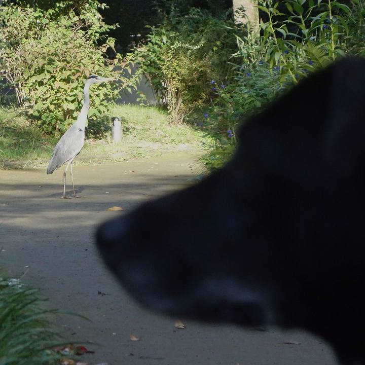 91182e30 fa1c 4090 b7e8 1d009875da94 1667090936381