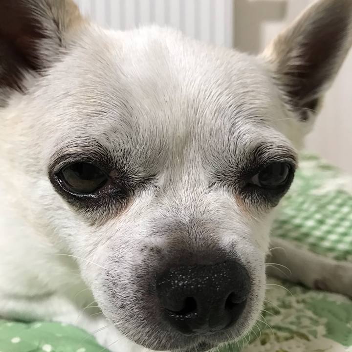 91184189 63a0 42b4 96e4 9fb5a7df4596 1634105129071