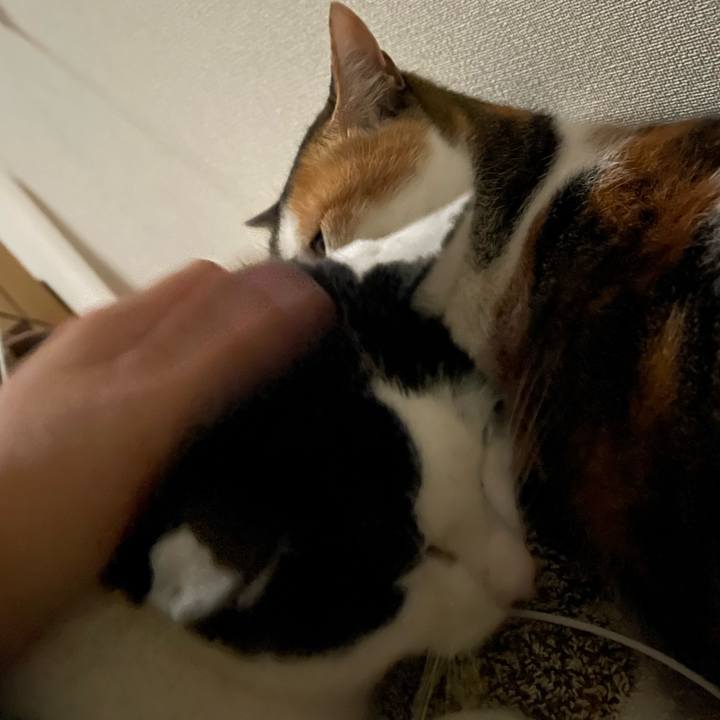 911841d5 b244 4888 bbe2 46e4738664af 1669920274365