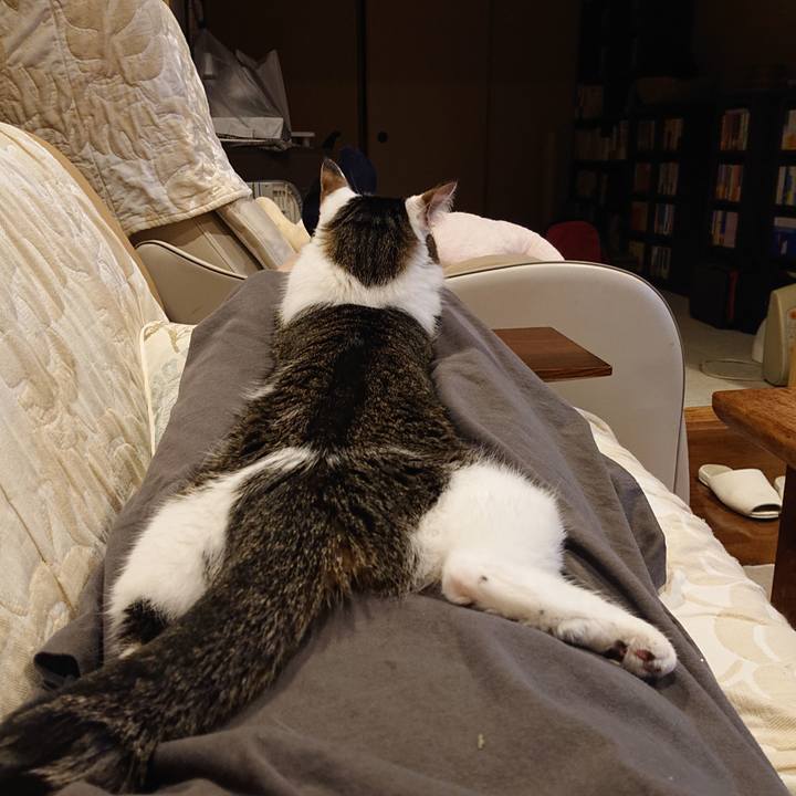 91184e5e 0296 4584 8bc3 231b9136954c 1651292195758