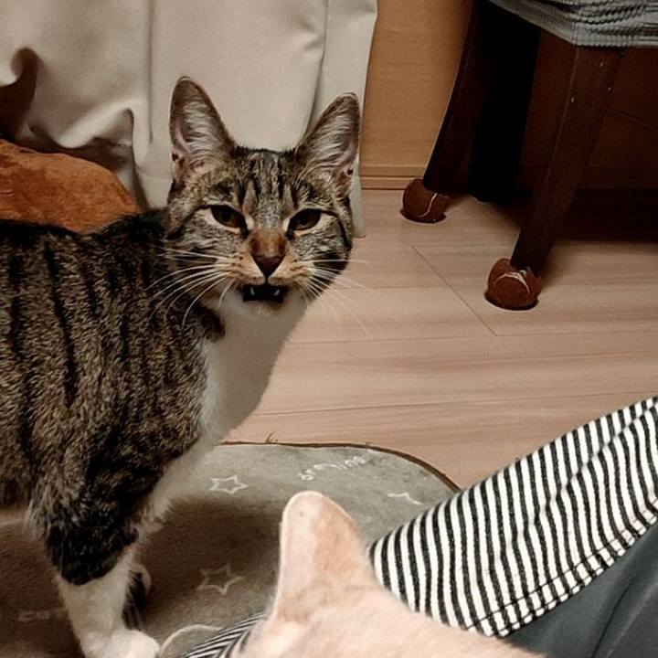 9118b0d0 5852 4412 a3d5 56aee8db4f8a 1678786810193