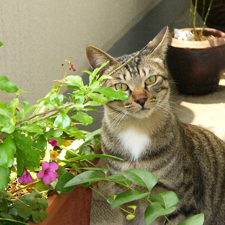 9118bda4 613e 4b02 8961 36319dc230d0 1649316903070