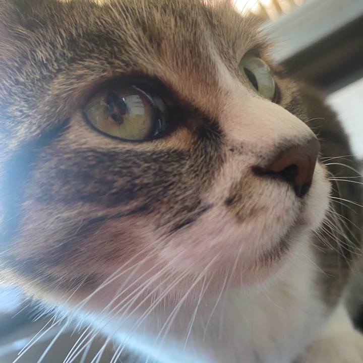 9118e218 f2cb 402e 9983 de9c38fba831 1587269124954