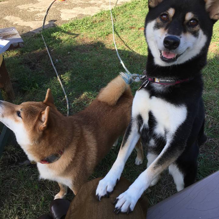 91190ac8 4b28 403a 84c5 54bade1143ca 1538908732214