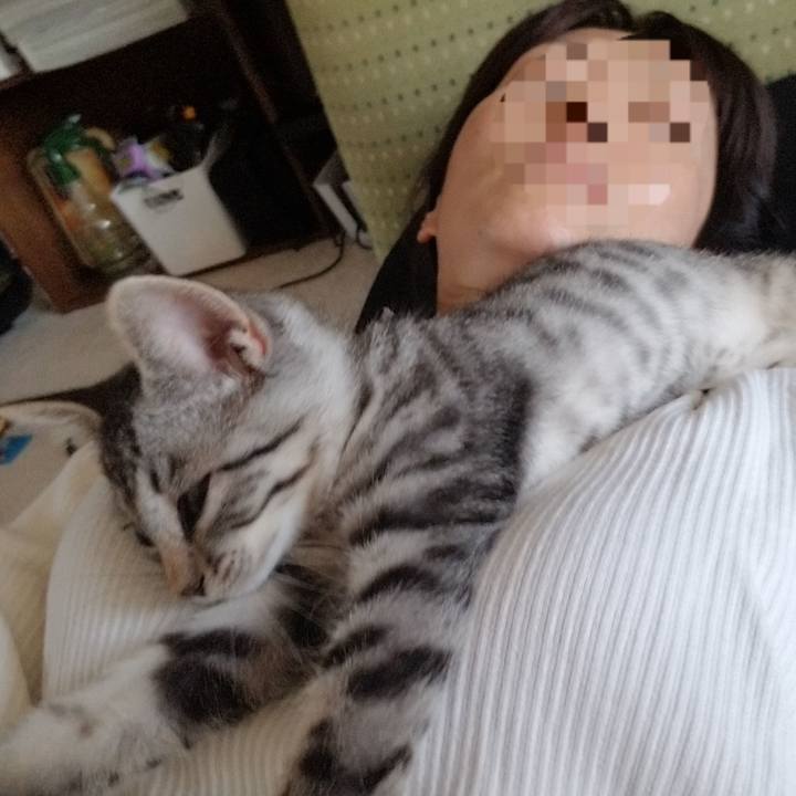 91192722 9101 4a32 a1a0 b977f240b171 1664809376053