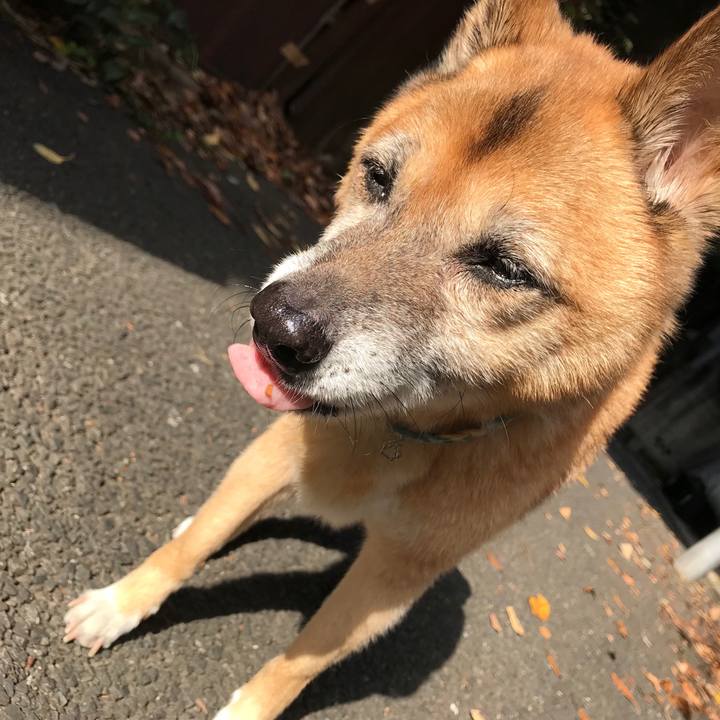 91194f84 9847 451f 8c59 17f881d6ad81 1541898103747