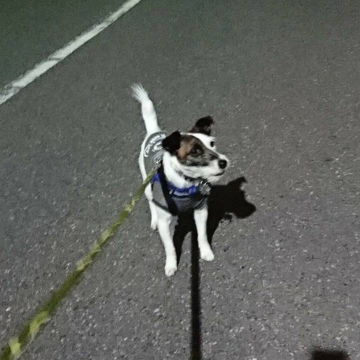 91198bdf 1fac 4b4e aa22 9831f6f77fd0 1518783035132