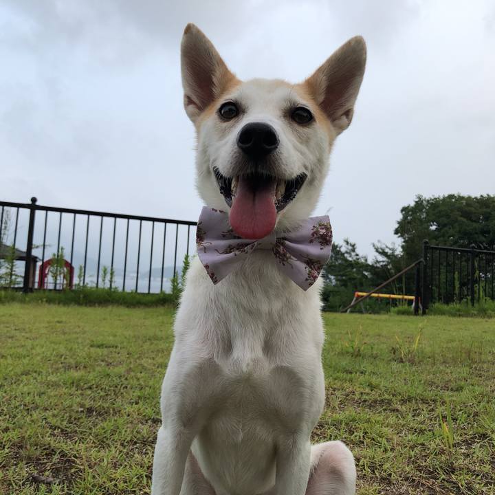 9119ac51 c282 4650 ab67 736076a6f939 1596798320758