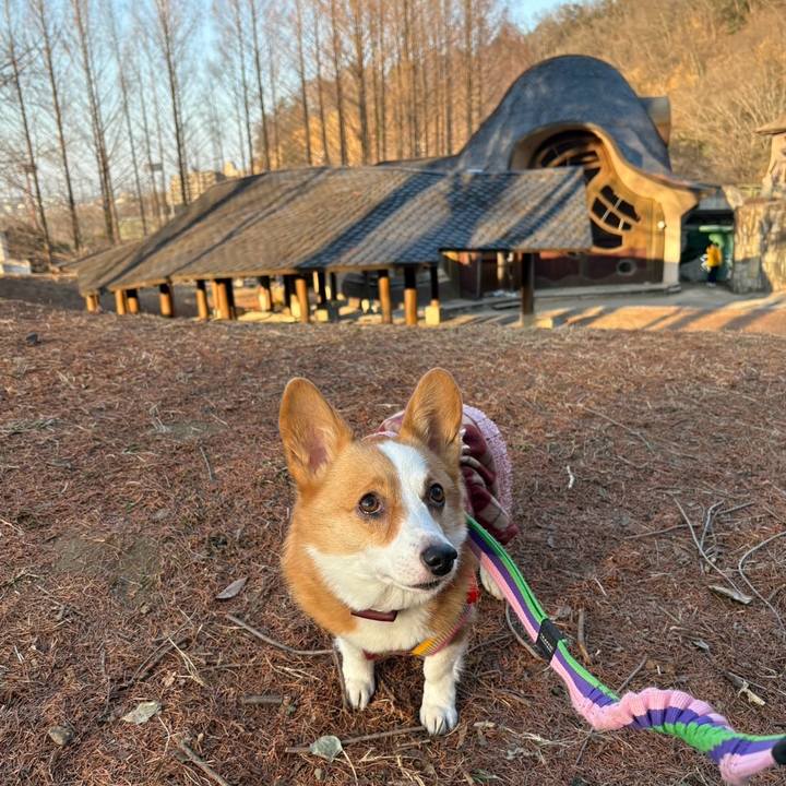 9119fed8 4758 4d49 a63c 2fb5661625e3 1771154814096