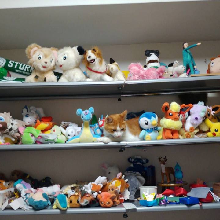 911a1fe3 cd4d 4422 9209 6053b3f47452 1592949664820