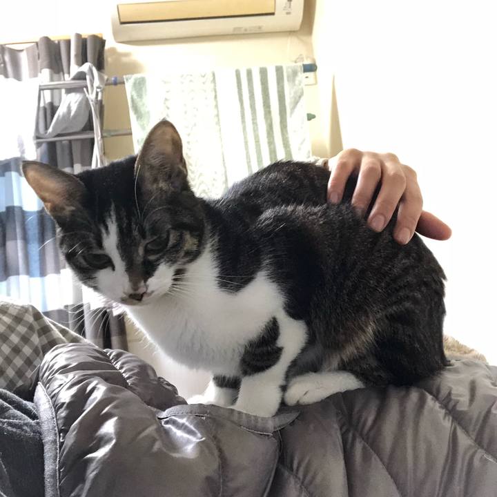 911ab43b 046e 4a0a 961b 018315bdb0f6 1515243289906