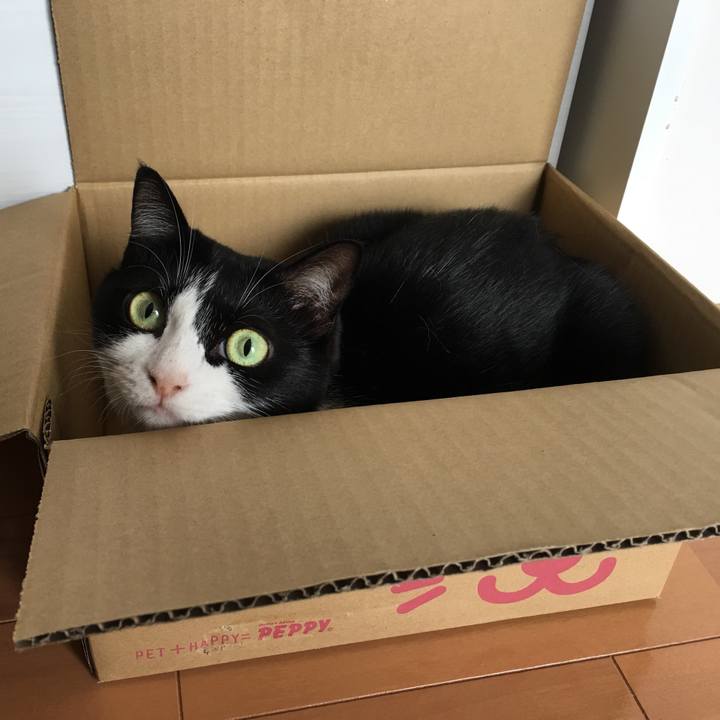 911b1e25 5744 4115 b0a5 581499a5d1e2 1536632986180