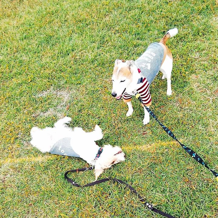 911b5482 2803 480d aca4 a4cca07fb9b2 1572067874754