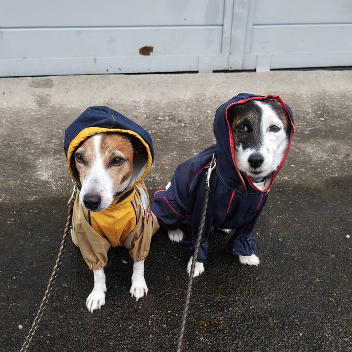 911b56d5 1f8e 4b5d 8518 81c796e75bbd 1759268989681