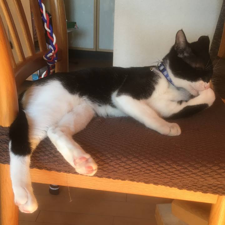 911b5ed3 7838 4af0 a0c0 900a7f6eeee9 1516930115798