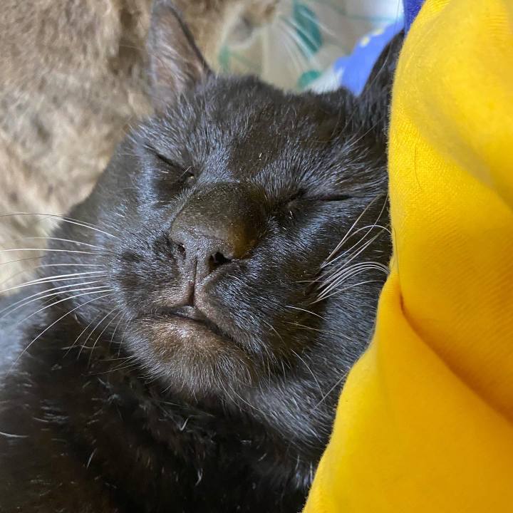 911b74bb abda 4073 9348 2505af0ac407 1646832381772