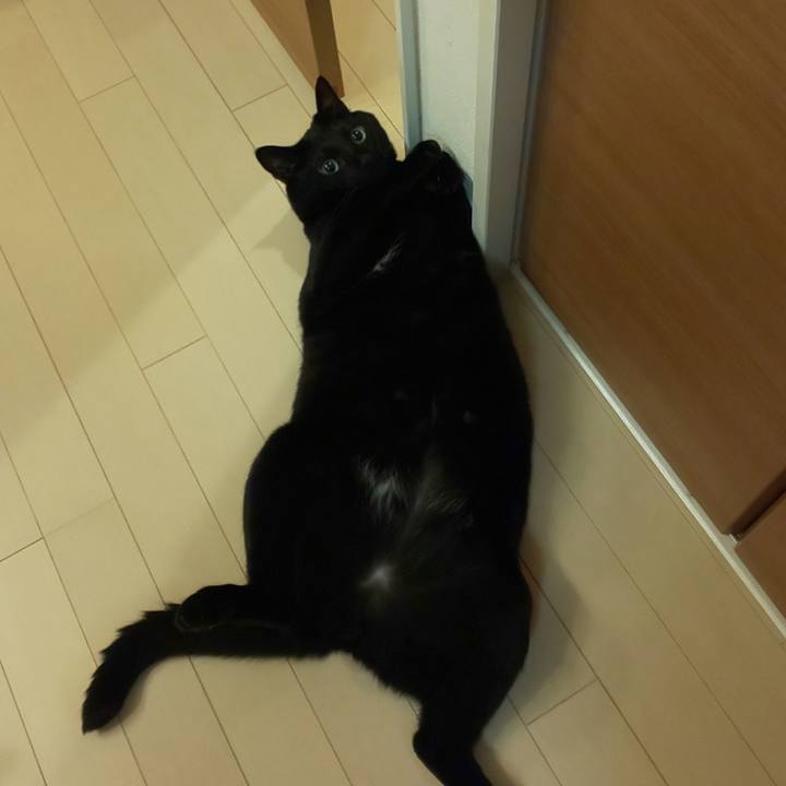 911b98e3 3e33 4128 b715 5fd853f83a46 1688741113653