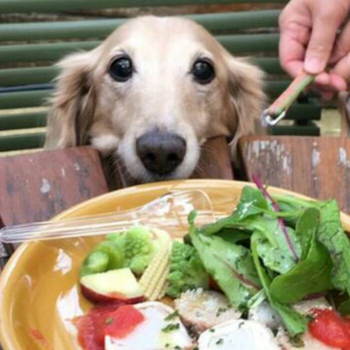 911baa11 f613 4697 b743 4e472fb2e720 1543656258719