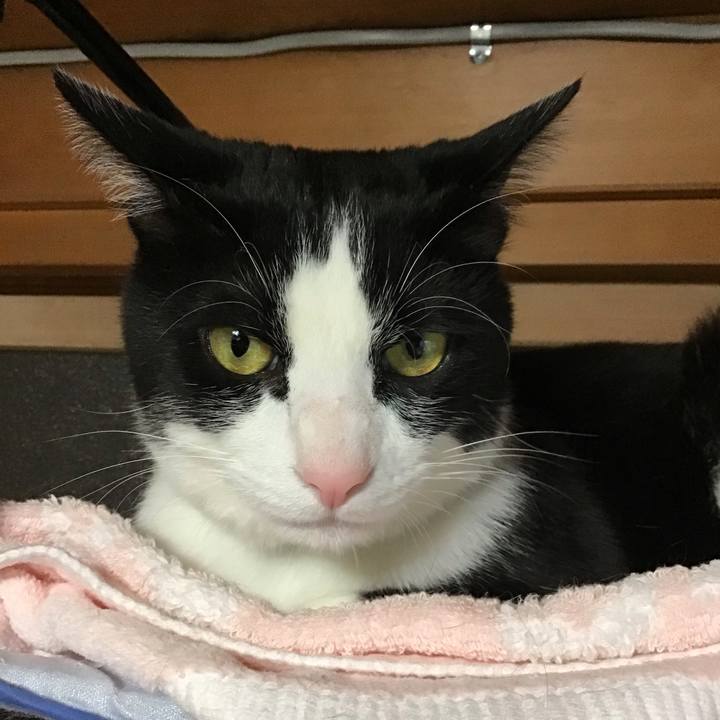 911bf5c9 ee65 4377 9666 6c29d8212915 1682685636170