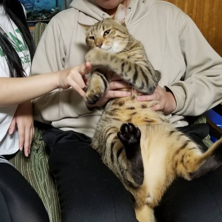 911c00d4 9cd1 46d4 bd4f cd01d95df390 1646132734607