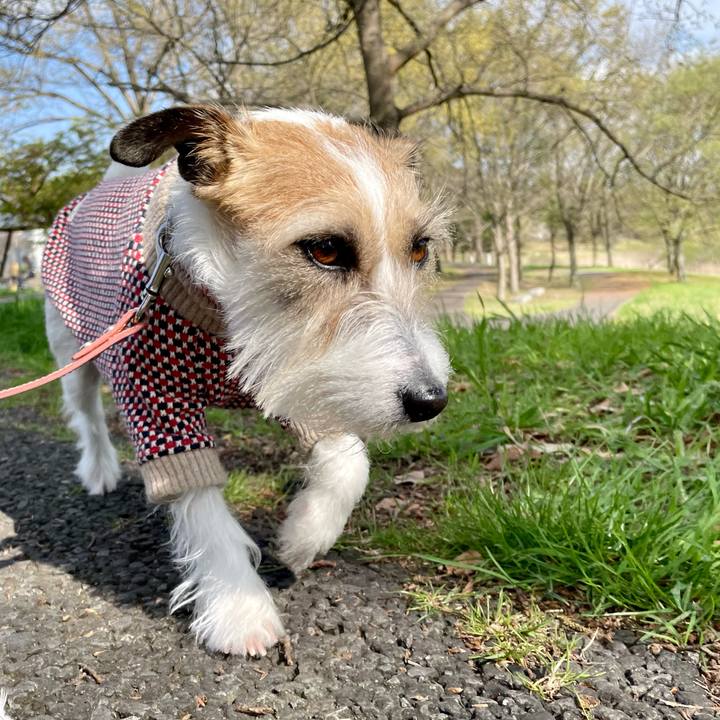 911c56bf 5dcc 434a b086 1eb760a6b3b3 1680071539731