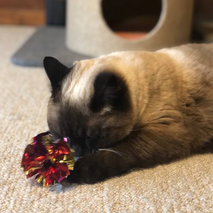 911c6be9 8903 413f afde 16eb94e0f90a 1621515100355