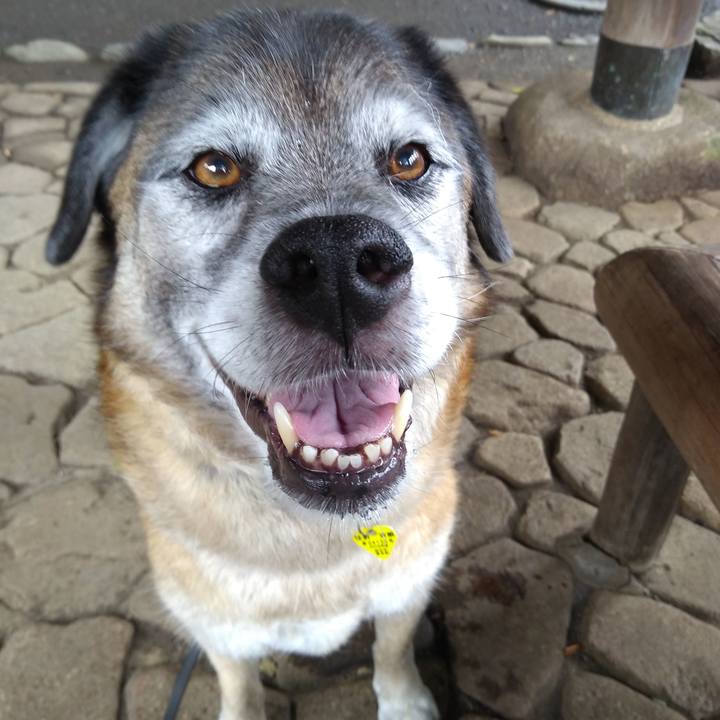 911ca220 d7d8 4422 8186 0eccaed7b5e7 1563408670450