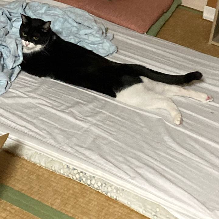 911cce17 b5e5 4240 904b d7e4c2e6537f 1666411888195