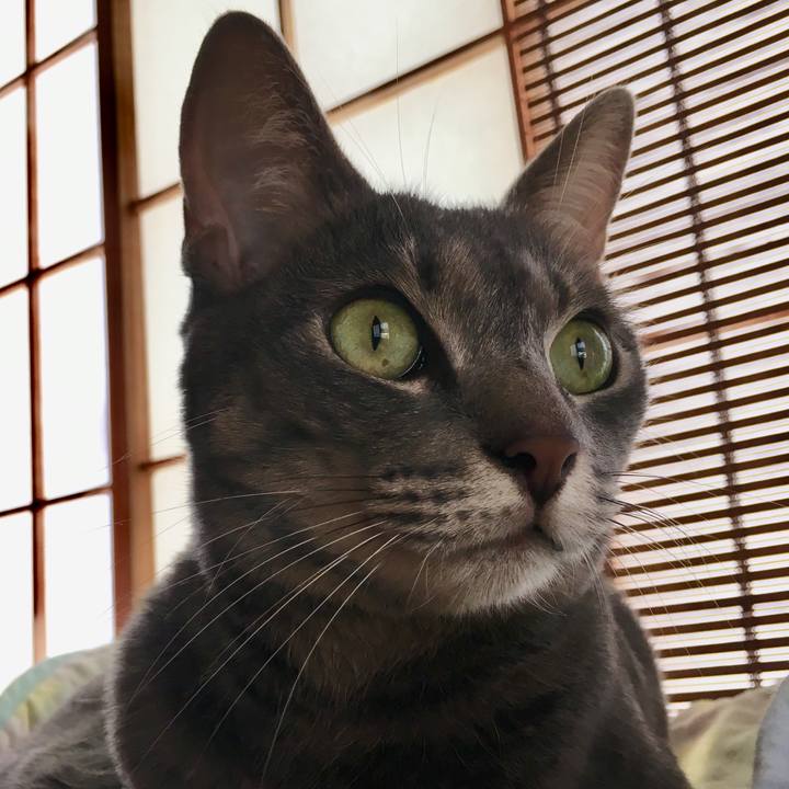 911cd88d 9f0e 4eb7 ab1e 907ace7f548e 1537661265067