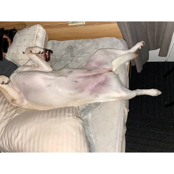 911cec36 67c2 41ac b083 1510cfabb604 1640820716163