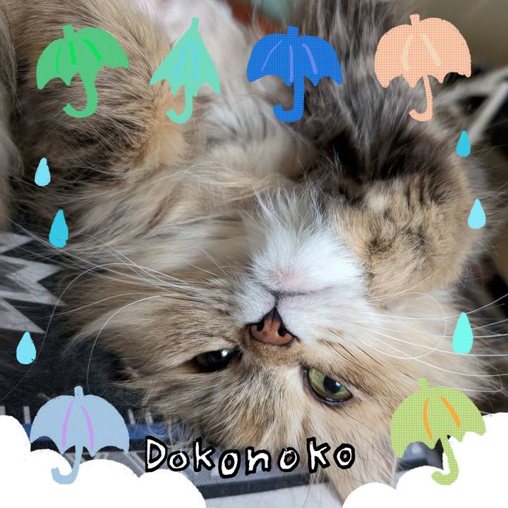 911d7255 be7f 4441 ab37 4b96461d3217 1718374055985