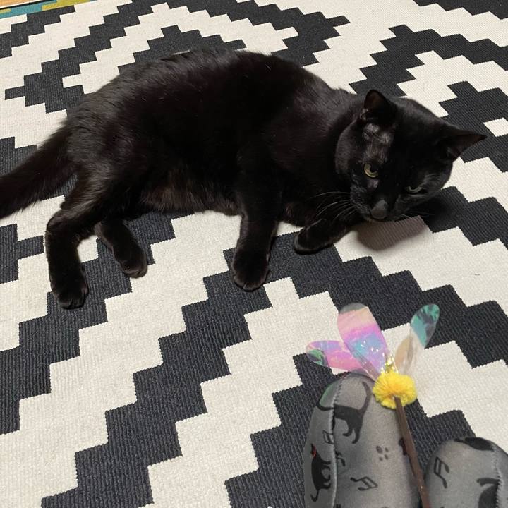 911d8eef 1a9f 4c1f ad1f 5f40bc712fc4 1770682555831