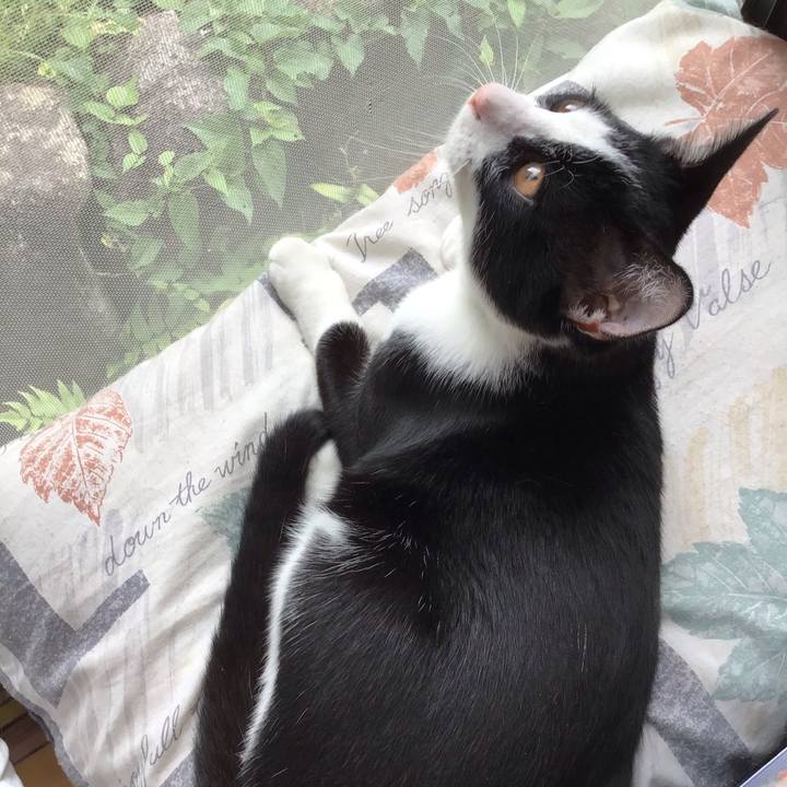 911da484 755b 4ebc b53d 81525194b5b2 1631075286089